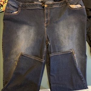 Lane Bryant Genius Fit Plus Sized Jeans